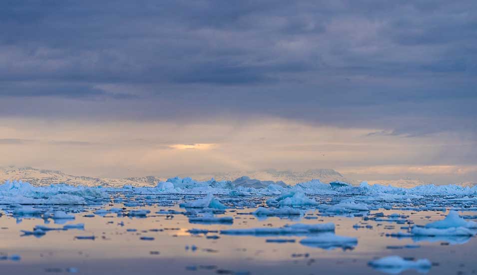 Viele kleine Eisberge im Meer vor Grönland