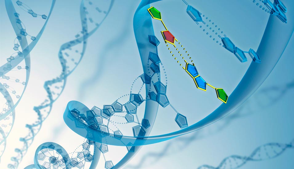Illustration mehrerer DNA-Moleküle in Doppelhelix-Struktur in unterschiedlichem Detail