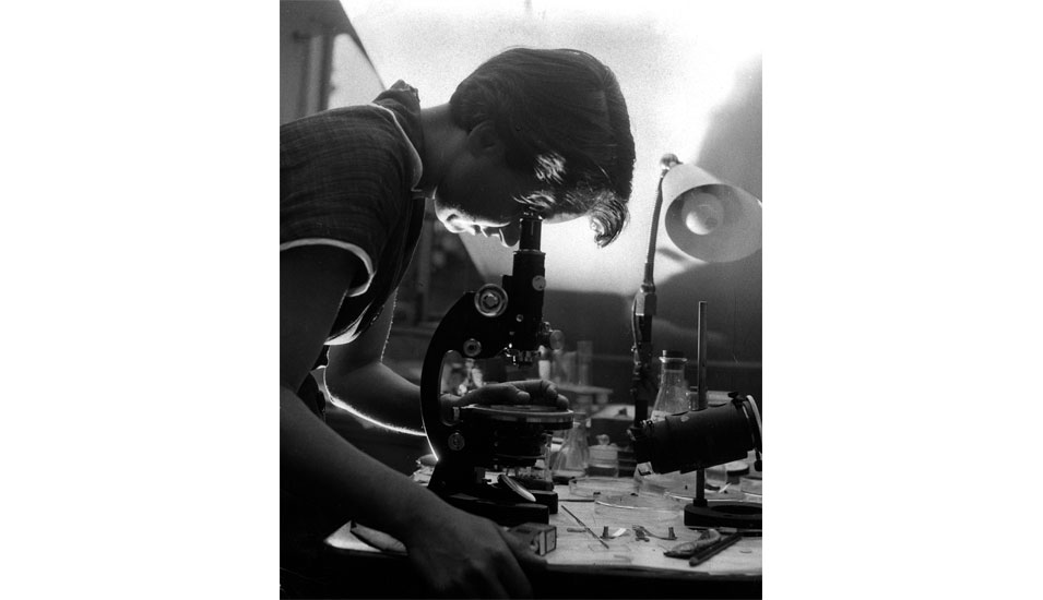 Die Molekularbiologin Rosalind Franklin schaut durch ein Mikroskop. Ihre Arbeit hat entscheidend zur Entdeckung der DNA-Struktur beigetragen. 