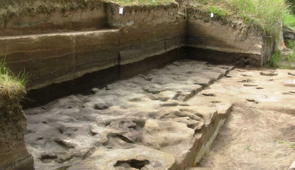 Fossile Fußabdrücke aus der Fundstelle Schöningen