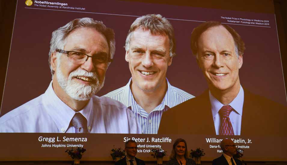 Protraitfotos der Nobelpreisträger 2019 in der Kategorie Medizin und Physiologie