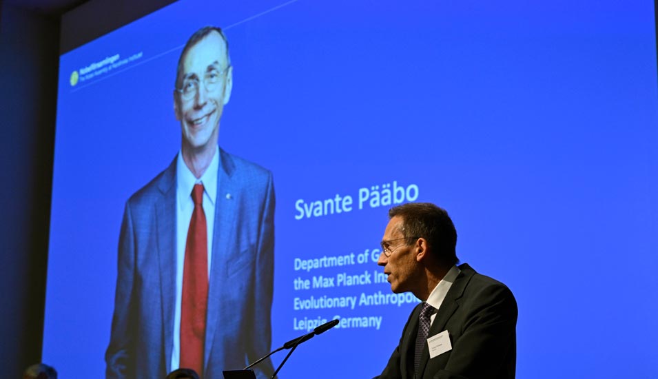 Svante Pääbo, der Gewinner des Medizin-Nobelpreises 2022, ist auf einem Bildschirm abgebildet, während der Pressekonferenz zur Bekanntgabe.