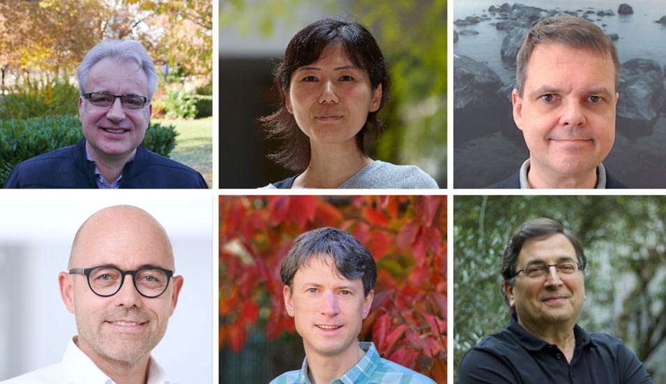 Portraitfotos der neuen Humboldt-Professorinnen und -Professoren