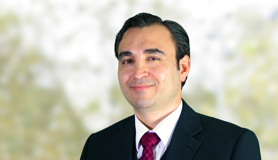 Professor Dr. Ahmed A. Karim