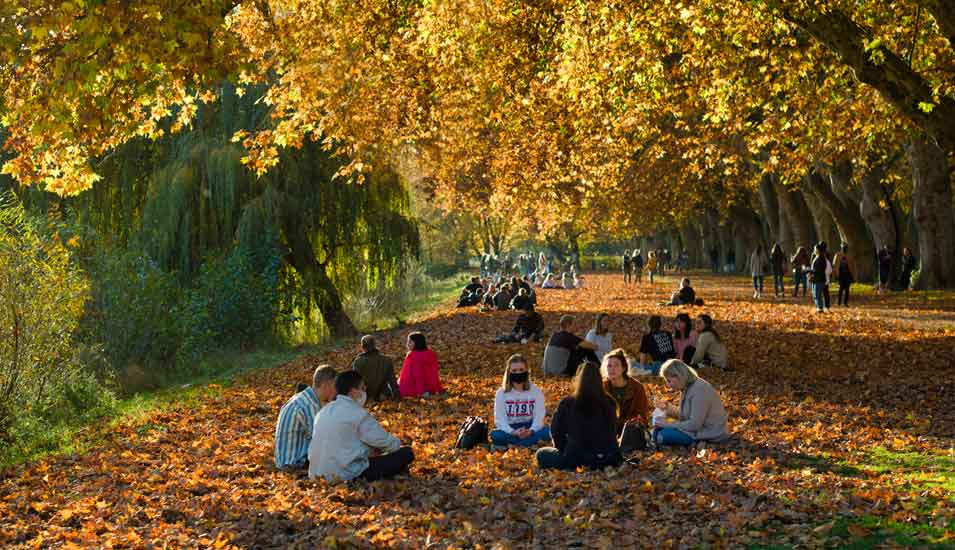 Studierende sitzen in einem Park auf dem Boden, einige tragen einen Mund-Nasen-Schutz.