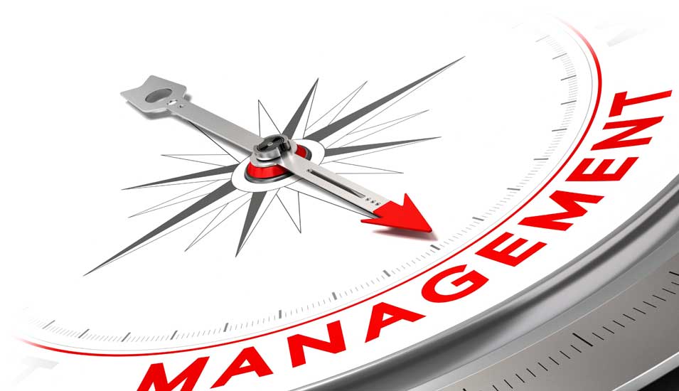 Das Foto zeigt einen Kompass, dessen Nadel auf das Wort "Management" zeigt