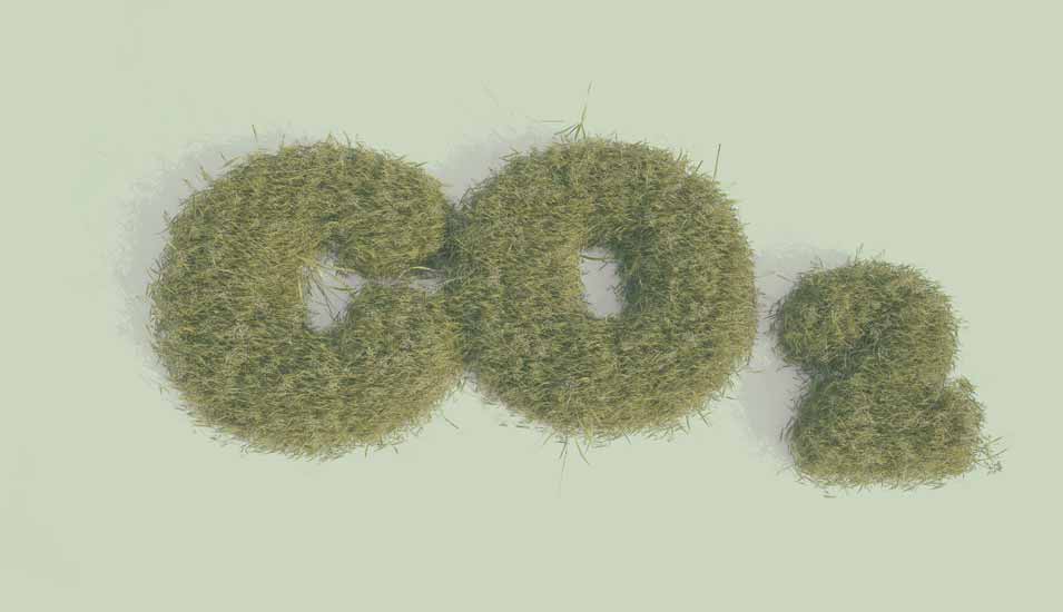 Schriftzug "CO2" in Form eines Gebüschs