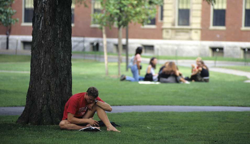 Das Foto zeigt Studenten auf dem Campus der Eliteuniversität Harvard.