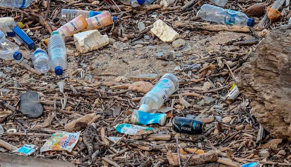 Plastikflaschen liegen an einem Ufer