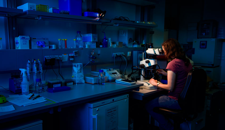 Eine Frau sitzt in einem dunklen Raum vor einem Mikroskop