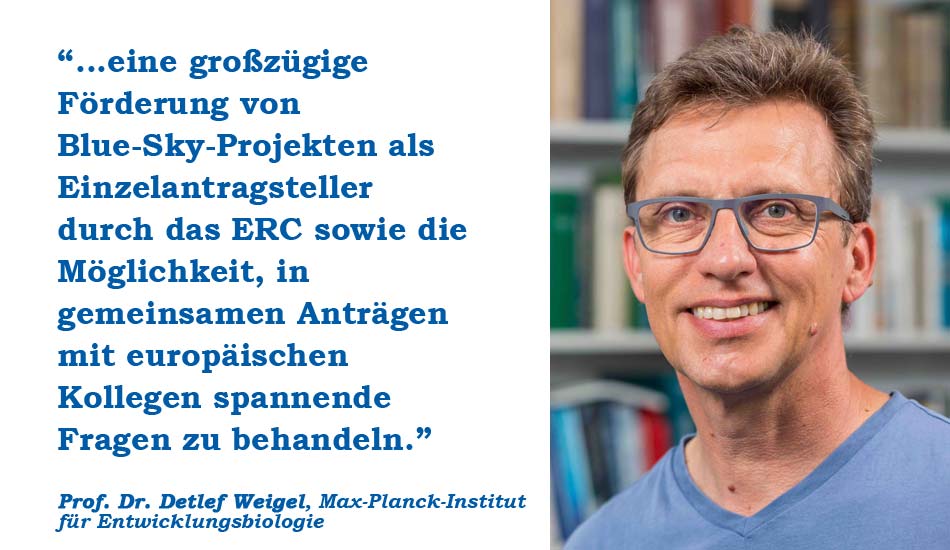 Prof. Dr. Detlef Weigel