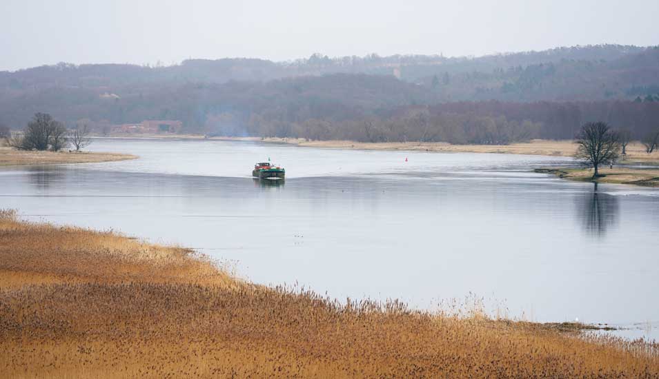 Ein Gütermotorschiff ist im Nationalpark Unteres Odertal auf der Oder unterwegs.