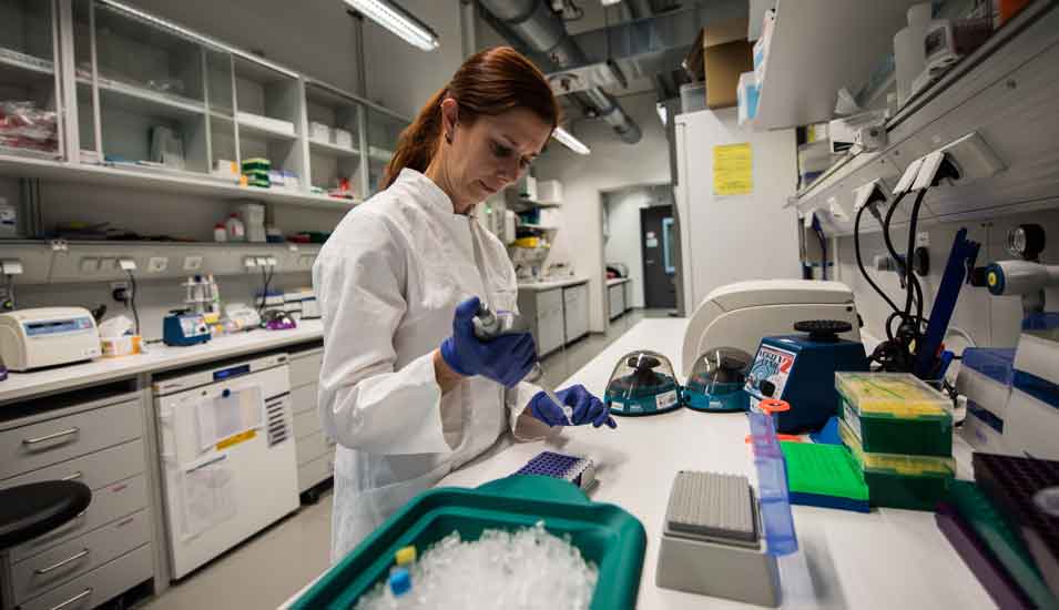 Das Foto zeigt eine Forscherin im Labor des Instituts für Molekulare Biologie an der Uni Mainz.