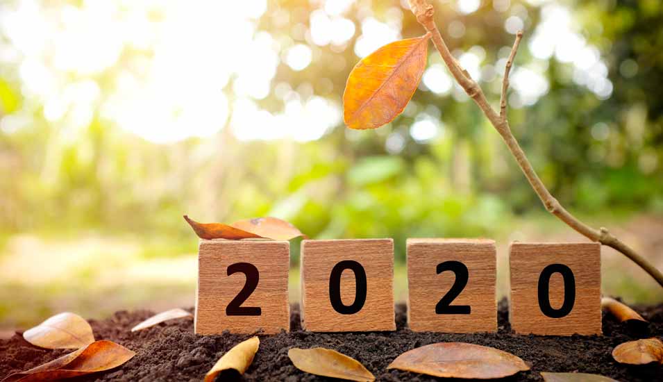 Jahresrückblicke: Wissenschaftler blicken auf das Jahr 2020 zurück - Forschung &amp; Lehre