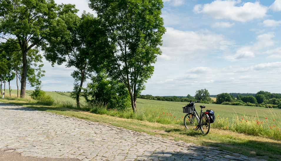 Fahrrad am Wegrand vor einer flachen Landschaft im Sonnenschein