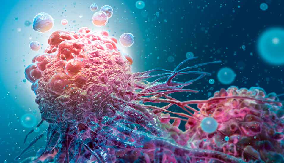 Illustration einer Krebszelle während des Zelltods
