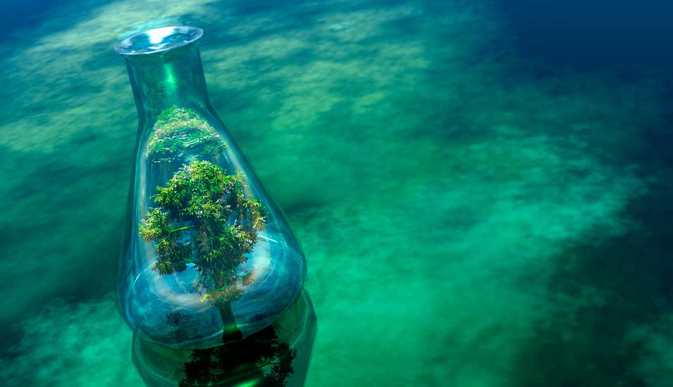 Symbolische Darstellung des Klimawandels: Ein Baum in einem Glaskolben vor grünem Hintergrund.