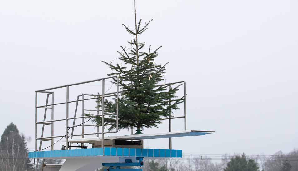 Ein Weihnachtsbaum steht auf einem Sprungturm im Freibad in Bohmte.