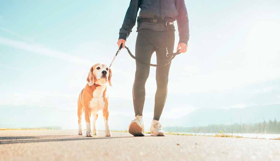 Person in Sportkleidung mit einem Hund an der Leine vor einem strahlend blauen Himmel