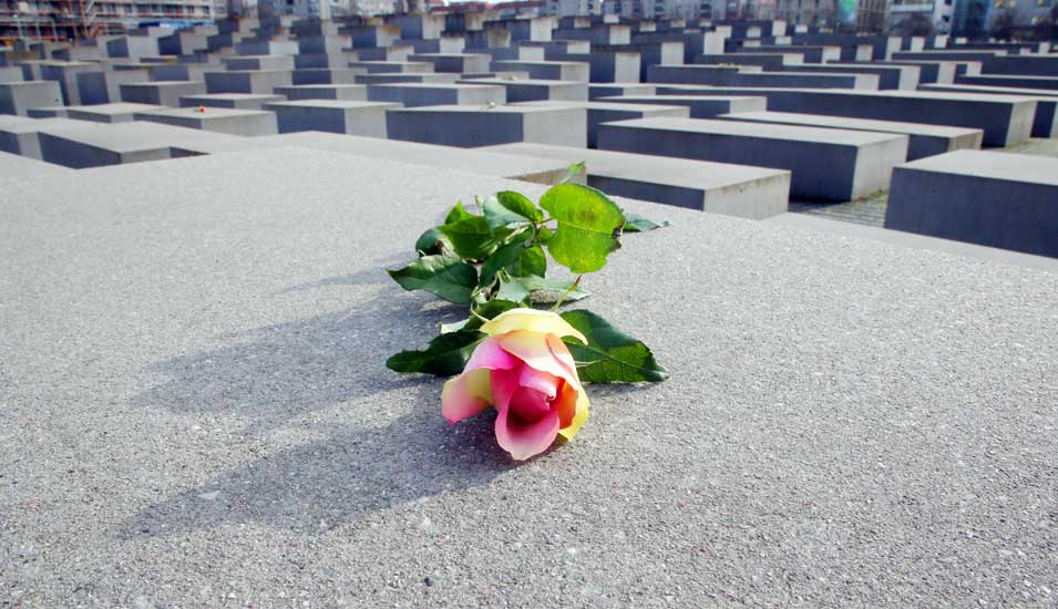 Eine Rose liegt zum Gedenken an die Opfer des Nationalsozialismus auf einer der Stelen des Holocaust-Mahnmals im Berliner Tiergarten.