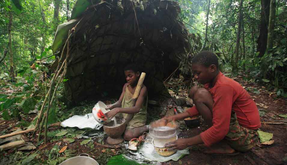 Jungen des Baka Volks bereiten im Wald Essen vor.