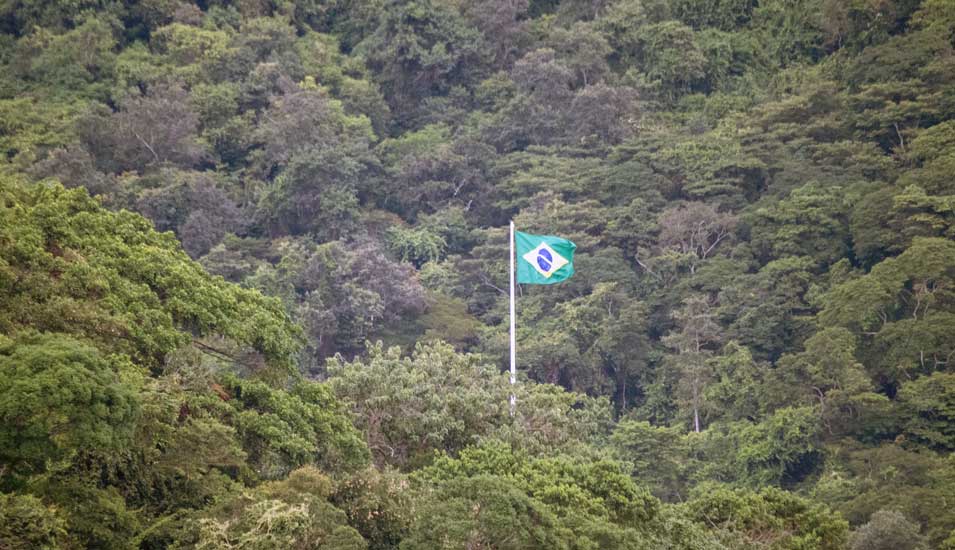 Eine brasilianische Nationalflagge ist in einem Waldstück in Rio de Janeiro zu sehen. 