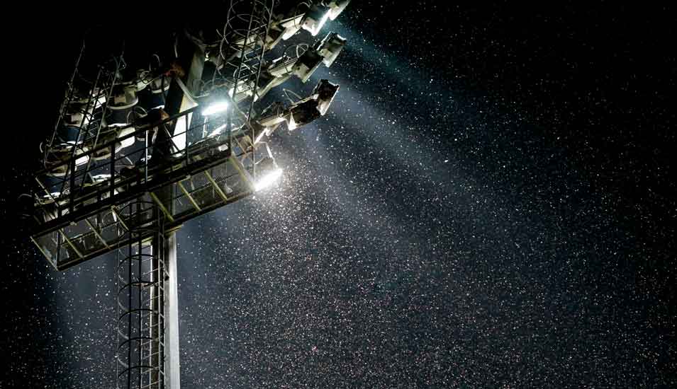Mückenschwarm im Licht eines großen Stadionscheinwerfers