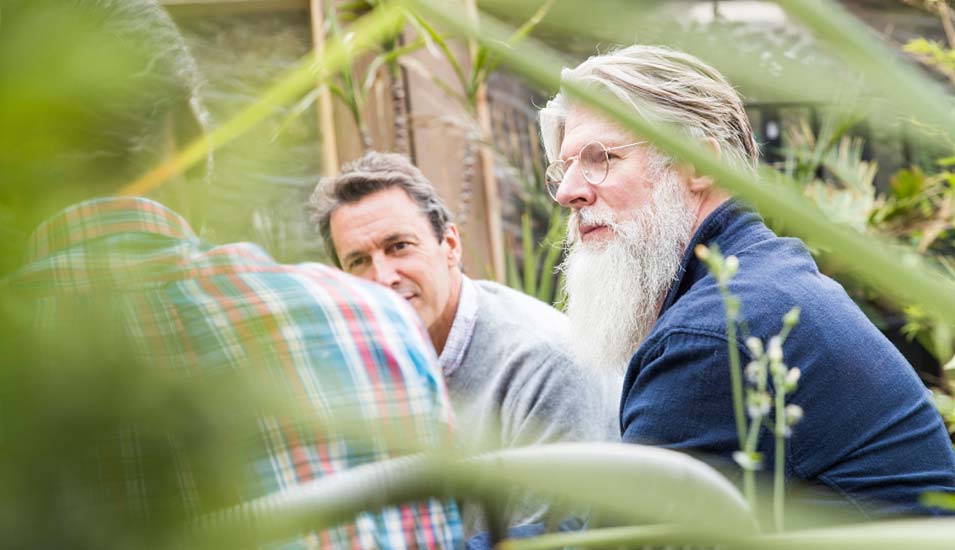 Drei ältere befreundete Männer sprechen miteinander in einem Garten