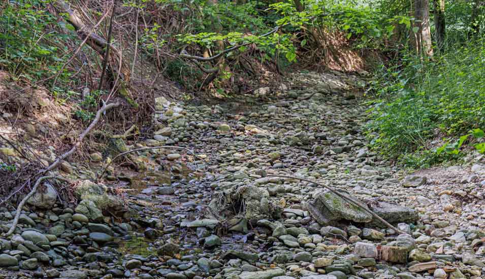 Ausgetrocknetes Flussbett eines kleinen Bachs in Bayern im Mai 2022.