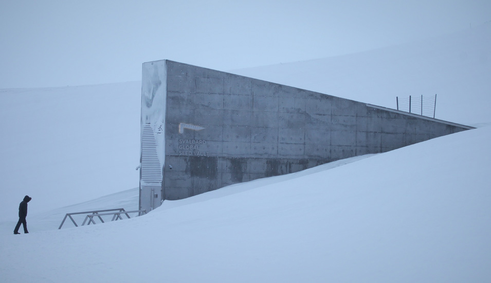 Der Eingang zum globalen Saatguttresor auf Spitzbergen ragt in der Nähe des Polarstädtchens Longyearbyen aus der verschneiten Berglandschaft empor, ein Mensch geht auf sie zu.