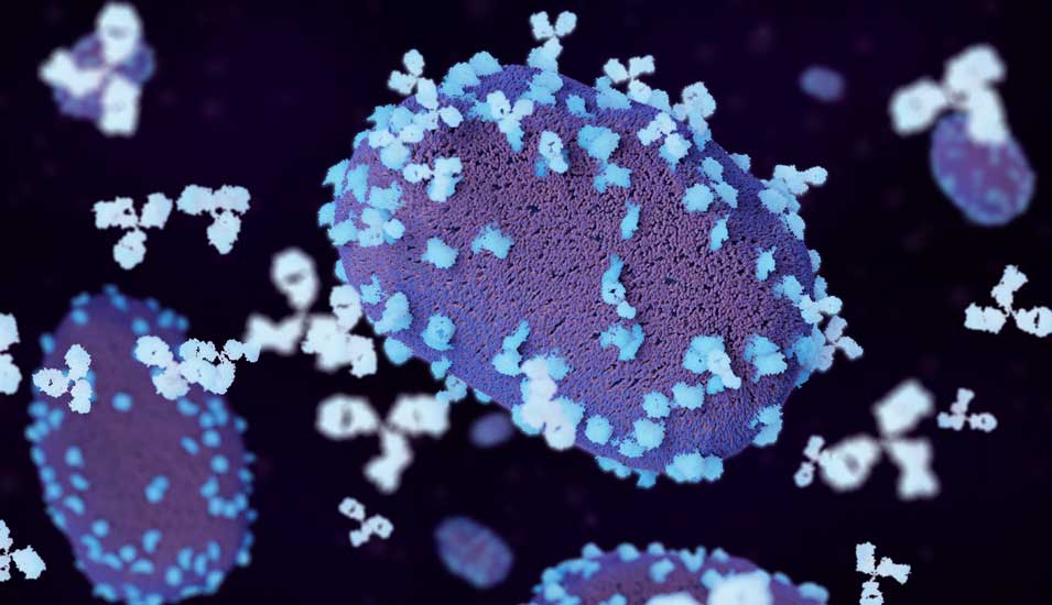Illustration des Mpox-Virus.
