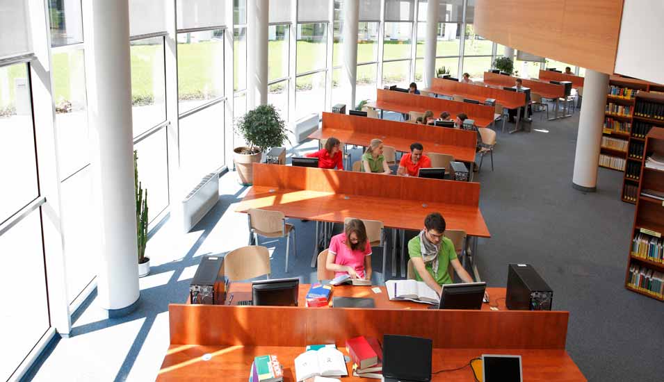 mehrere Studierende sitzen an langen Tischen in einer Universitätsbibliothek und lernen